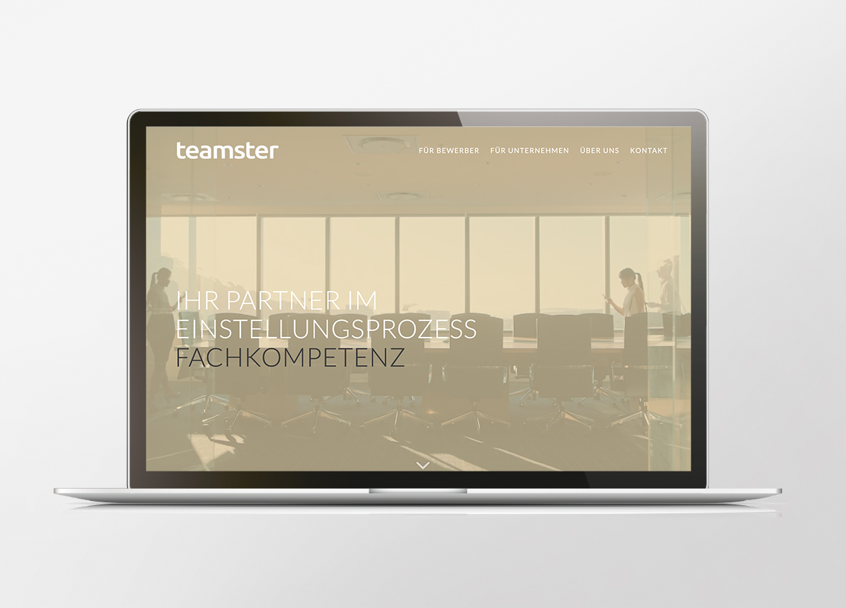Portfolio teamster